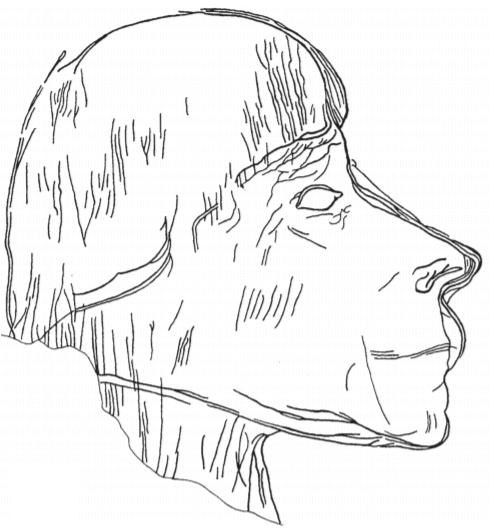 Наскальный рисунок