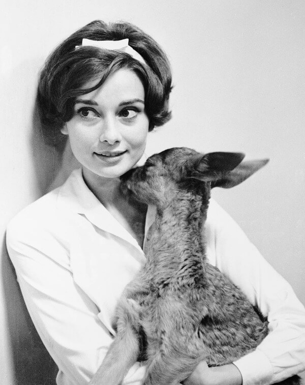 Одри Хепберн Audrey Hepburn с прической с бантом