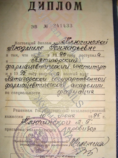 Диплом эксперта сайта